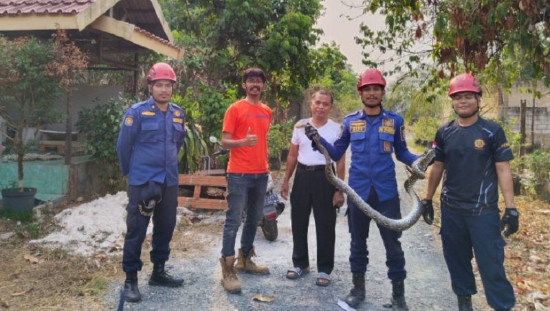 Pemprov Kalsel Waspada Ular