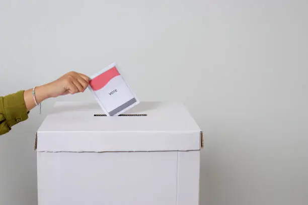 Hasil Quick Count Pilkada 2024 di Kalimantan Selatan