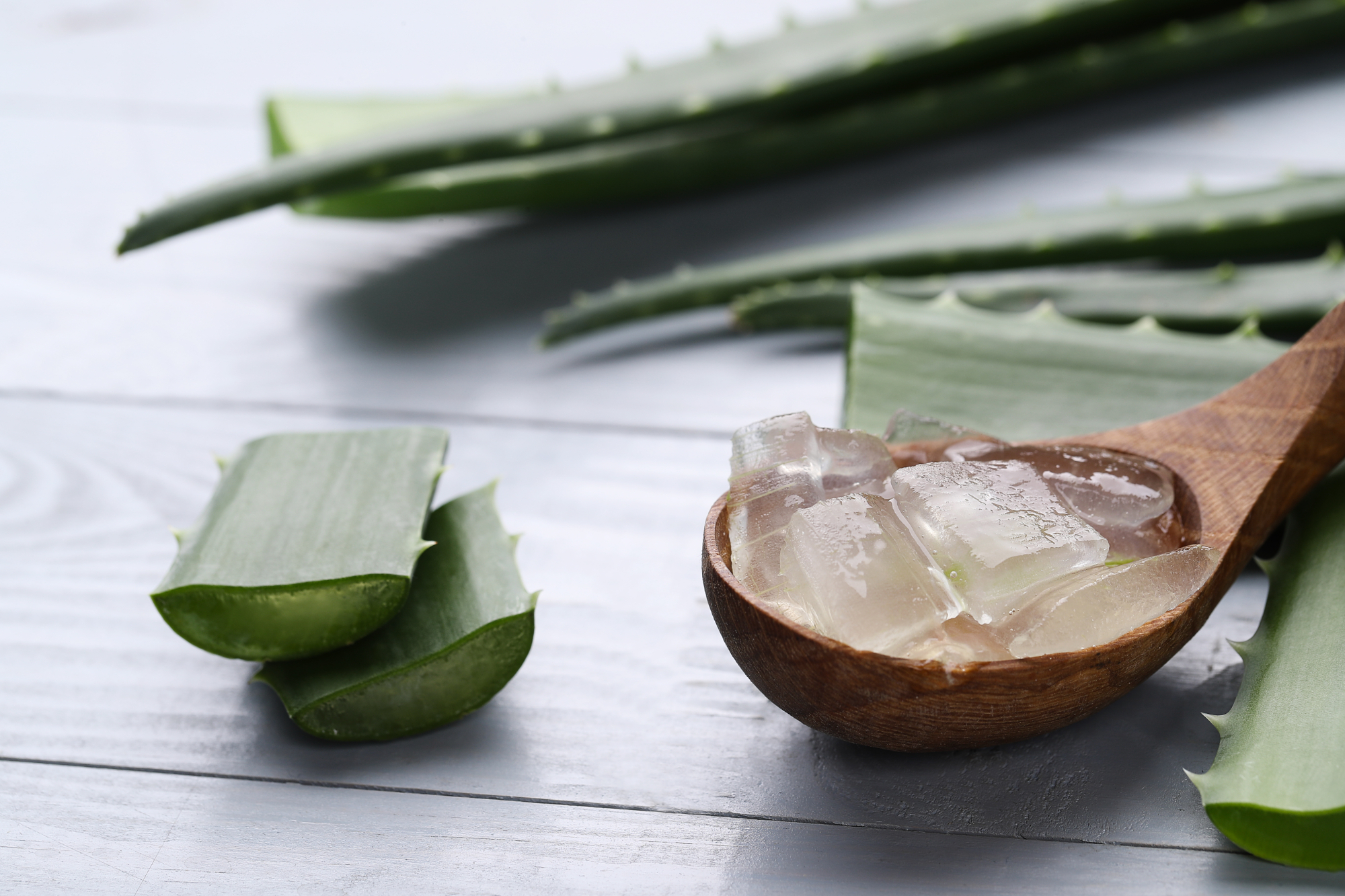 8 Manfaat Aloe Vera untuk Kulit, Menghilangkan Sel Kulit Mati?