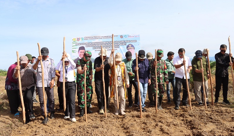 Swasembada Pangan Pemprov Kalsel