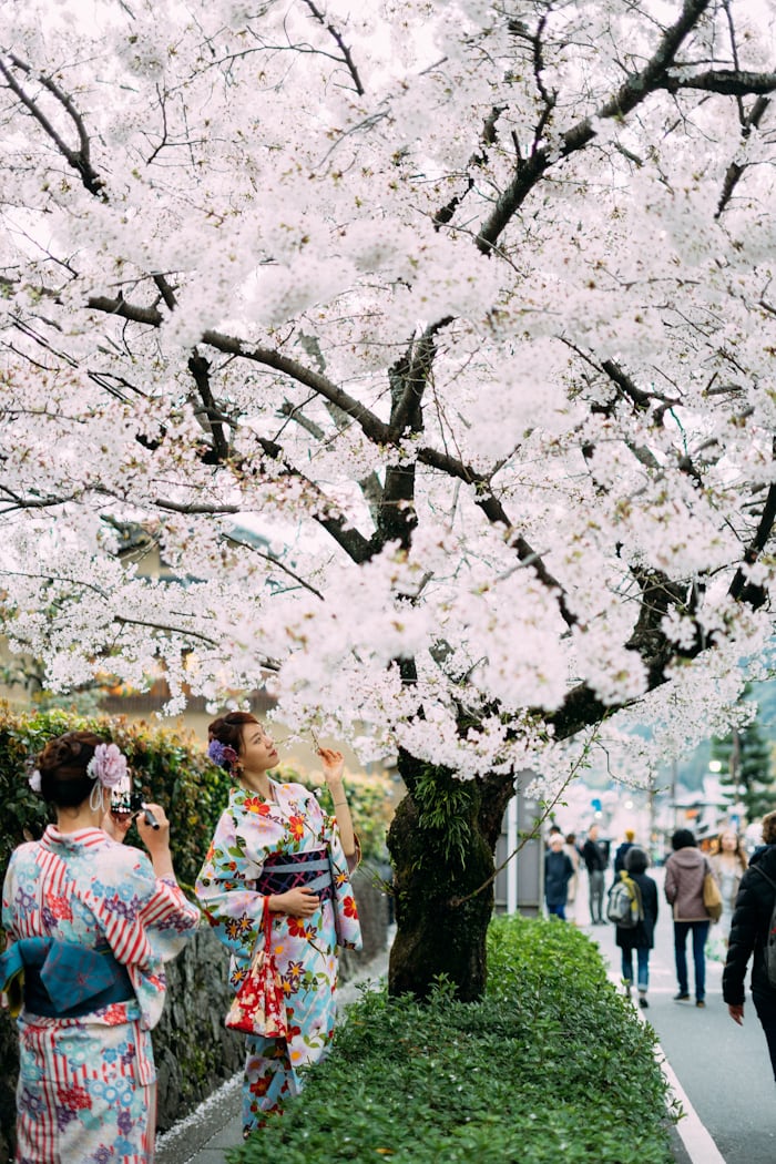 4 Manfaat Kegiatan One Week Study ke Jepang yang Bisa Didapatkan Warga Kotabaru Kalimantan Selatan