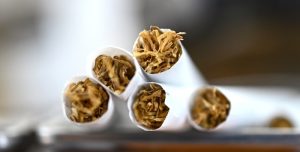 Badan Narkotika Nasional Kabupaten Balangan Gelar Press Release Bahas Capaian dan Program P4GN Sepanjang 2024