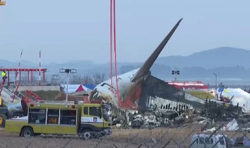 Bebek Jeju Air