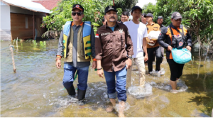 Pemprov Kalsel Bantuan Bibit