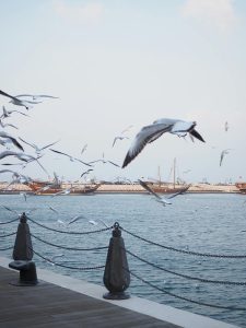 4 Info Wisata Banjarbaru Kalimantan Selatan yang Terbaru dan Harga Tiketnya, Ajak Keluarga Liburan ke Sini!